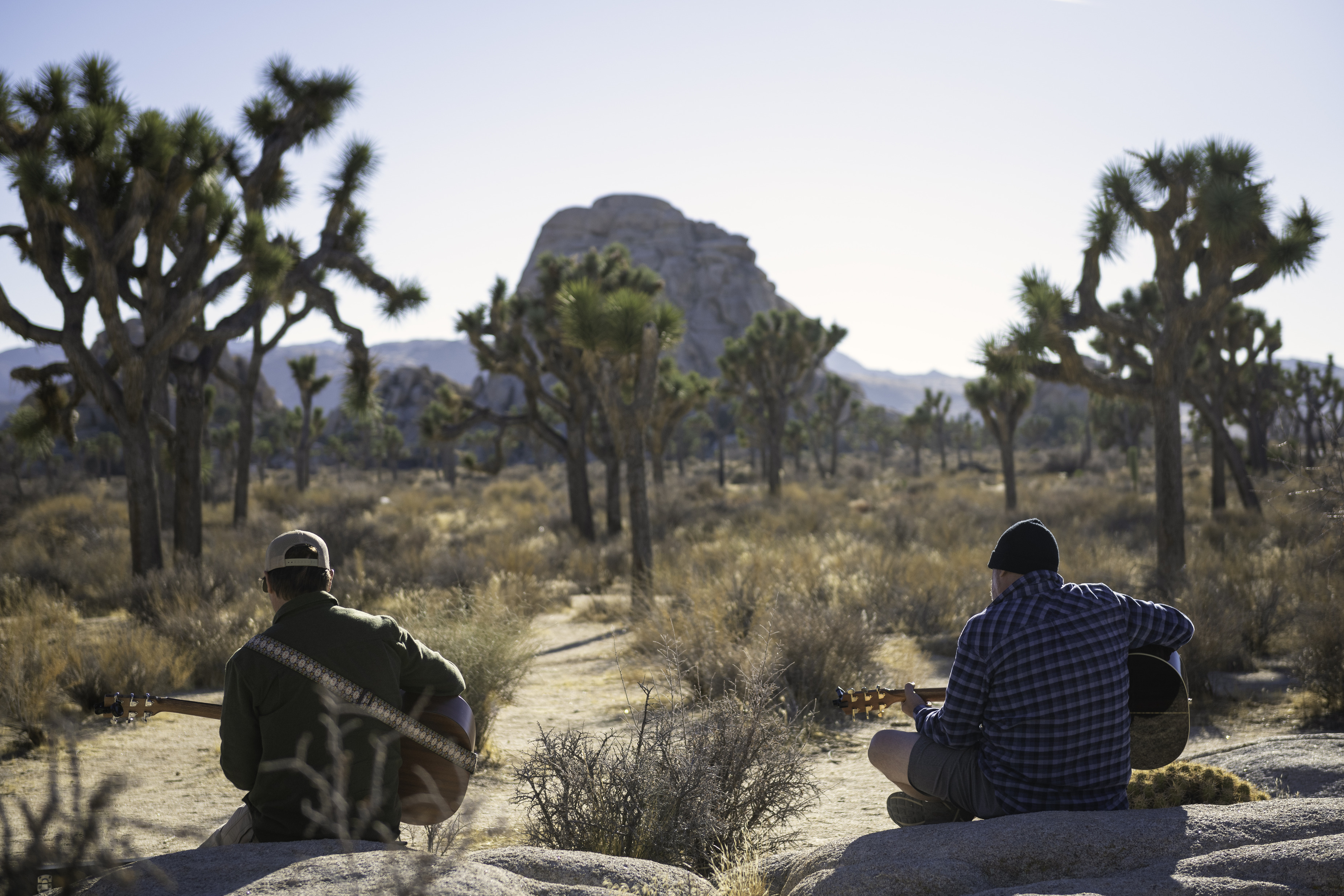Two guitar players sit on rocks with their guitars in front of a field of Joshua trees. 