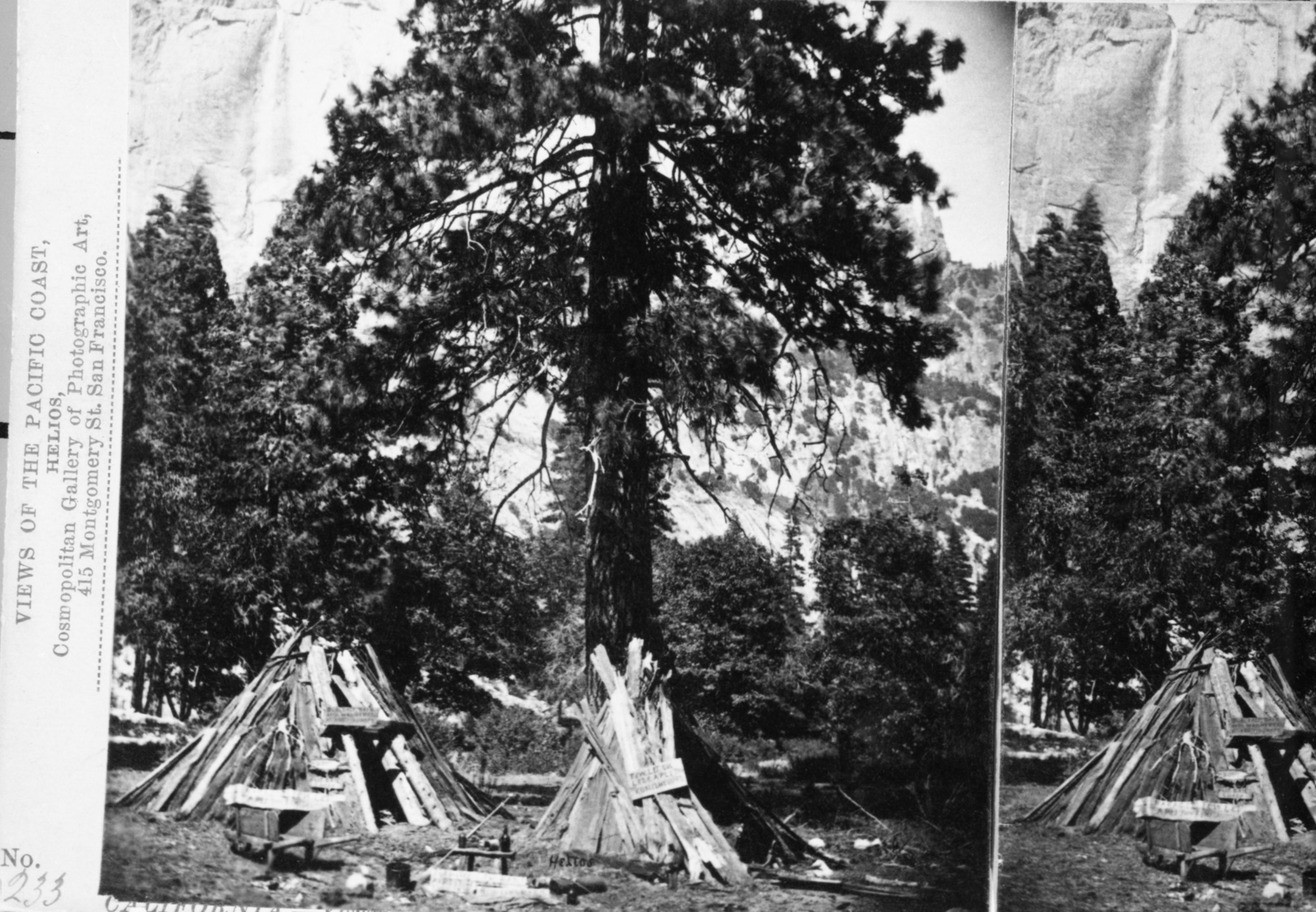 Bark houses- "u-mut-cha"; Yosemite Valley c. 1870's from a stereograph by Muybridge