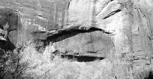 Weeping Rock spring.