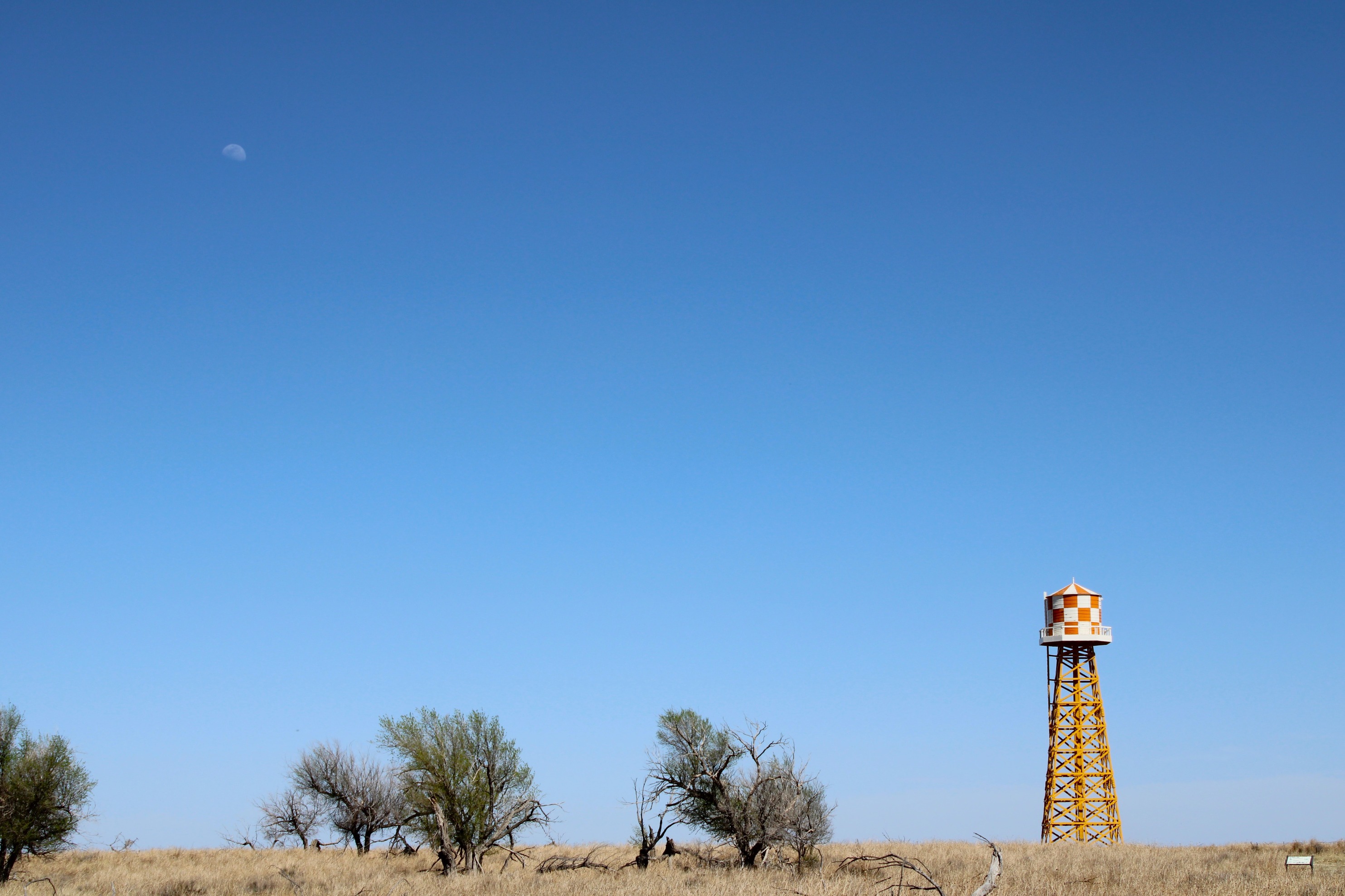 A water tower rises above a flat grassland with a few bare trees