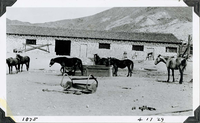 This is an historic black and white photograph from the Scotty's Castle Historic Photograph Collection, Death Valley National Park of horses and mule standing across length of photo in front of long plastered building with a Spanish tile room. Large metal slip to move dirt in forefront. Scaffold and sawhorses along front of building. Mountain in background. Inscriptions in black ink along lower border.