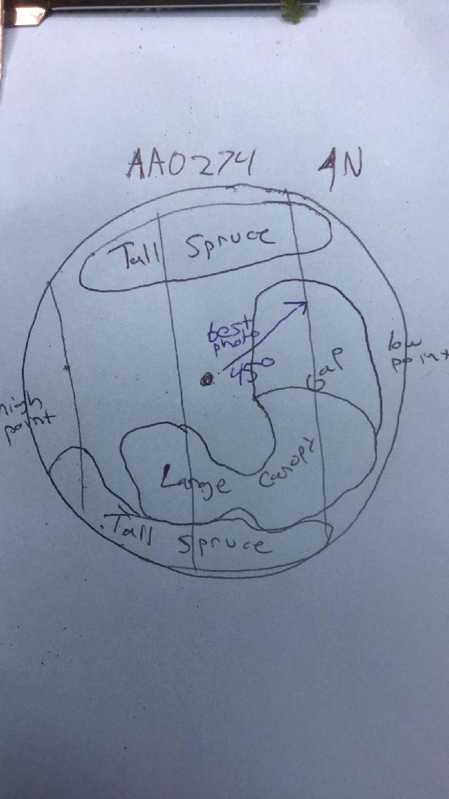 GRSM Accuracy Assessment. Plot Code: GRSM_AA_0274_map