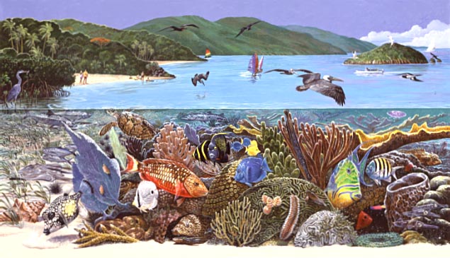 Seascape treasury illustrating typical life and activity above and below the waterline