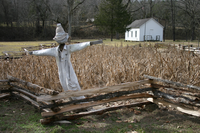 A scarecrow guards the cornfield in front of the Storys Creek School at Alley.