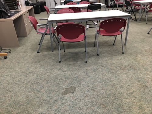 Carpet in front of main classroom