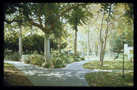 Baldwin Hills Village. 