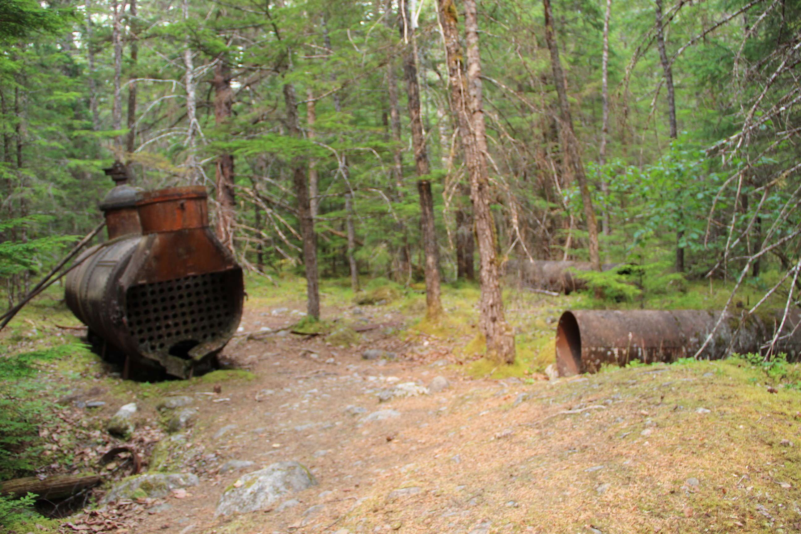 Large rusted objects in the forest