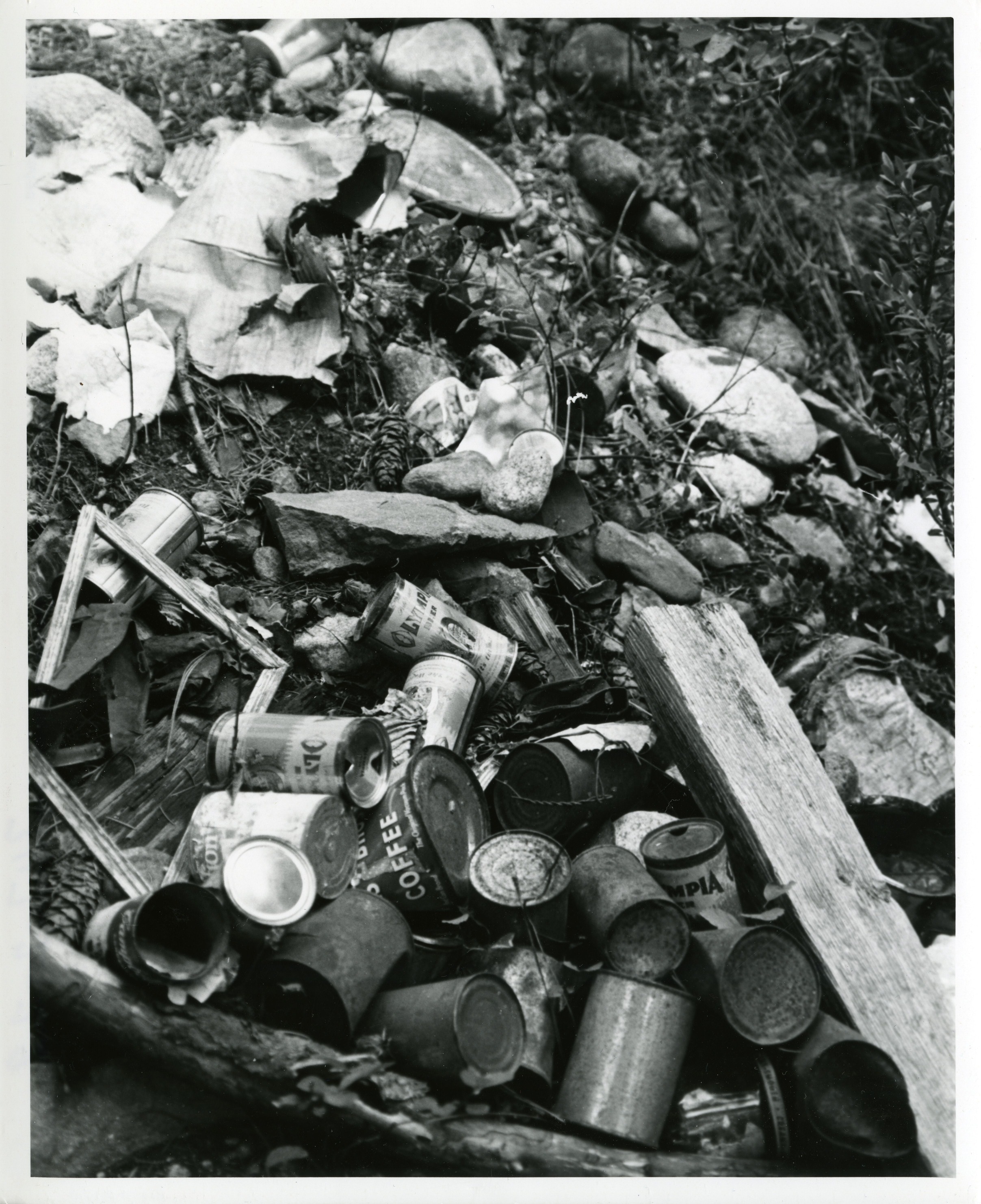 Empty tin cans and other rubbish on the forest ground.
