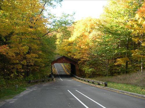 SLBE Pierce Stocking Scenic Drive - Covered Bridge - Fall