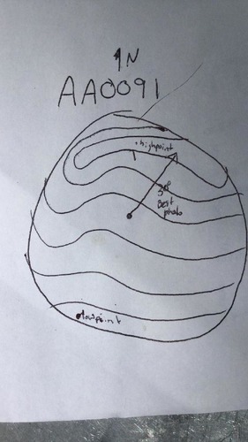 GRSM Accuracy Assessment. Plot Code: GRSM_AA_0091_map