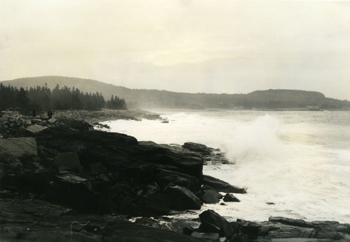 SURF - MT. DESERT ISLAND [AREY COVE, SCHOODIC]