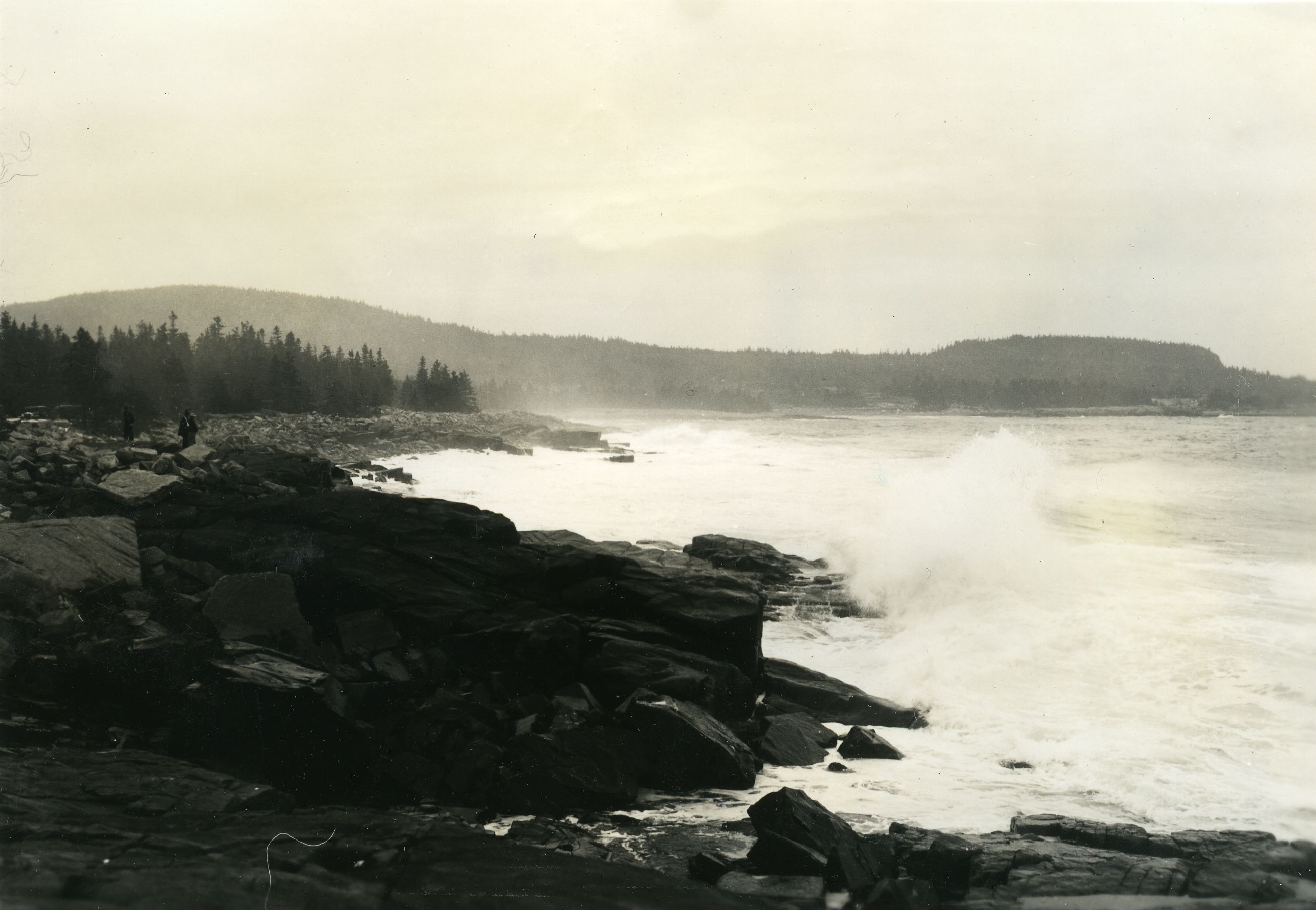 SURF - MT. DESERT ISLAND [AREY COVE, SCHOODIC]