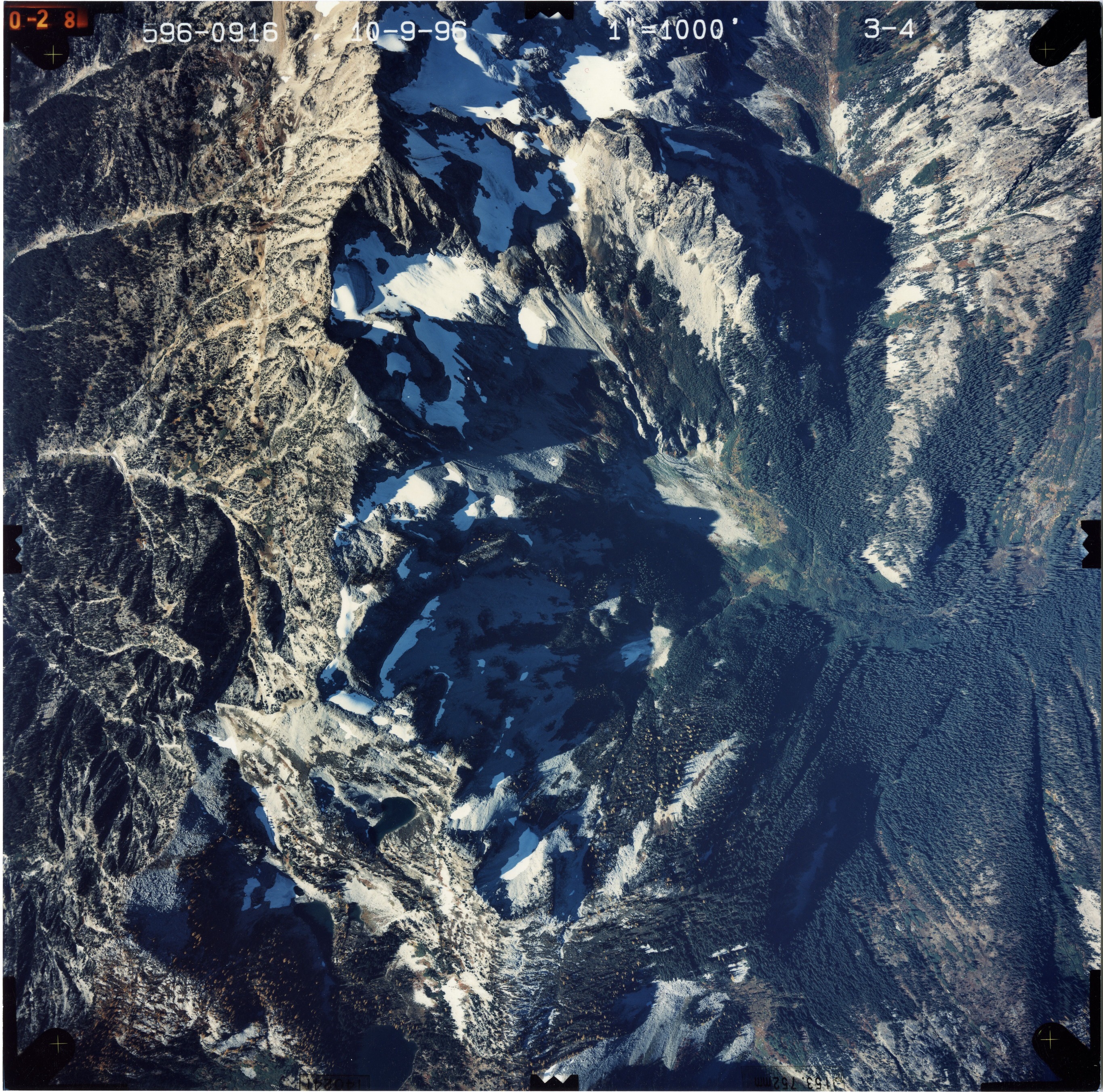Color aerial photograph of glacier and snowfields on mountain peak with forested valleys below.