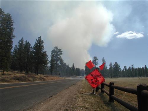 Prescribed fire for fuels reduction, 2002, Zion National Park