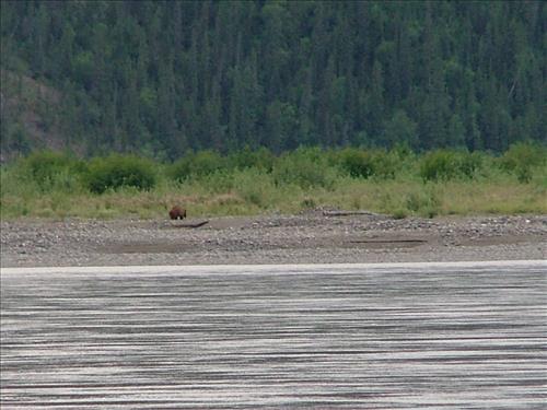 14 Yukon-Charley Rivers National Preserve Peregrine Falcon Survey July 2006