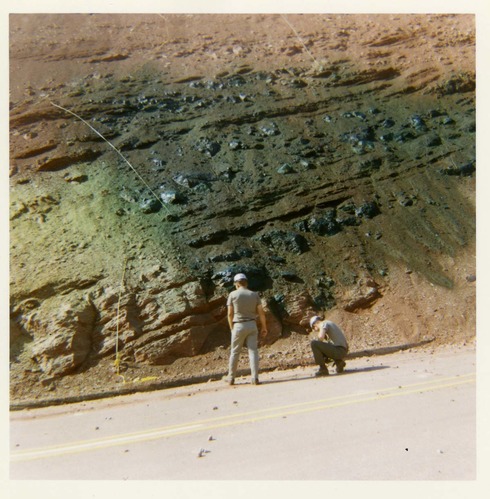 Color photo of the hydroseeding experiment along the Kolob Canyon Road.