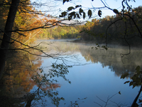Pretty view of the river with reflection.