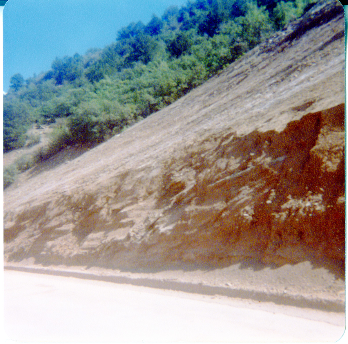 The side of the hill with green landscape along the Kolob Terrace Road - North Unit.