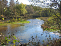 Scenic view of river.