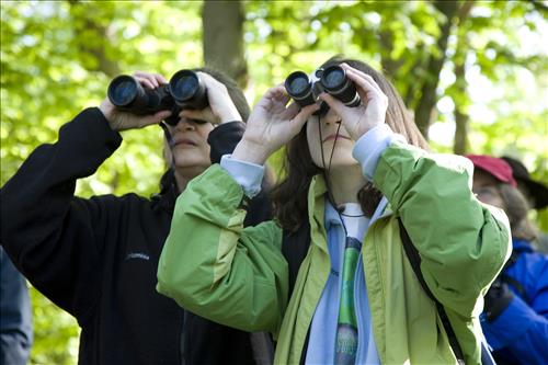 Bird Watchers Close Up