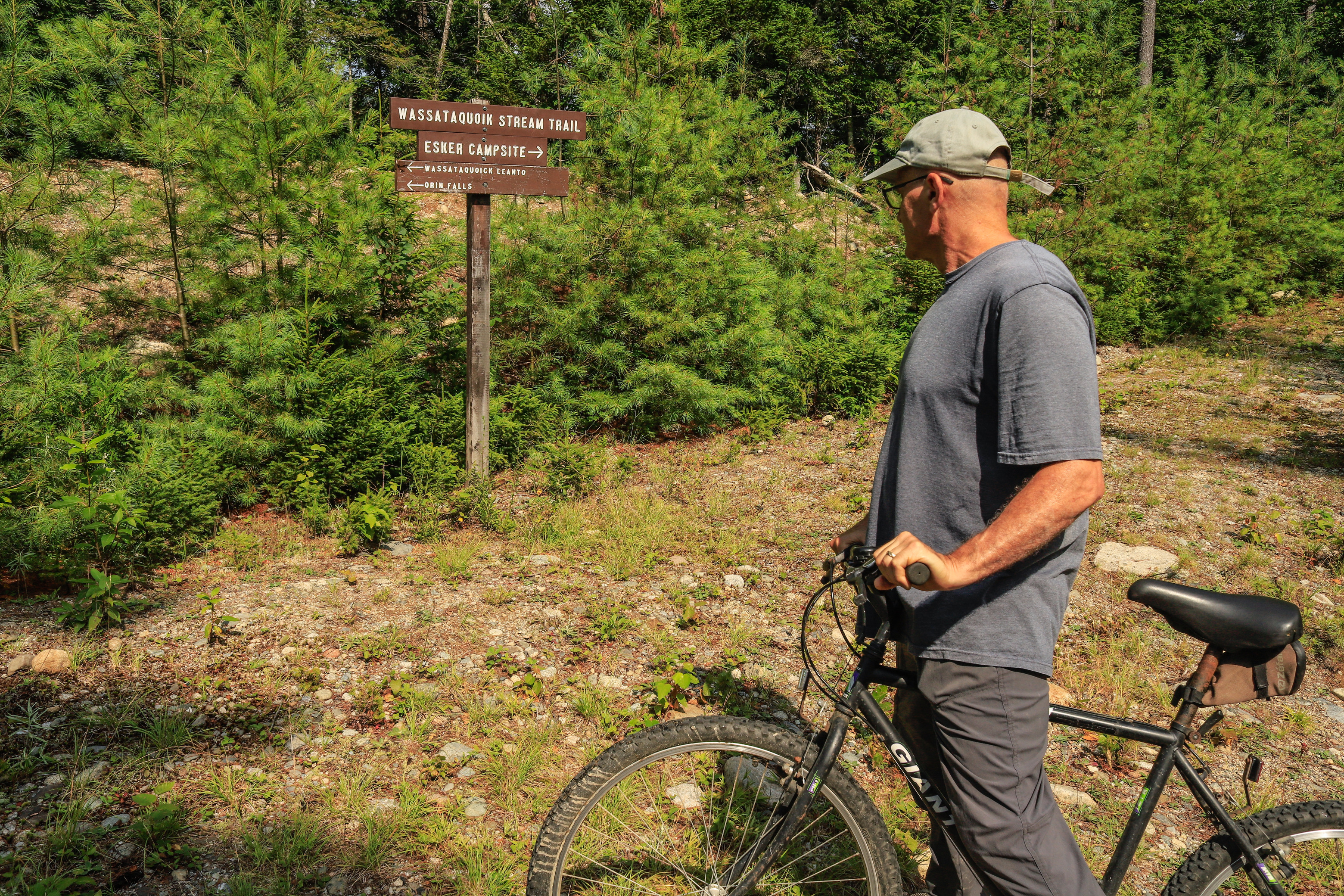 A man standing with a bike looks at a directional sign at a break in the path