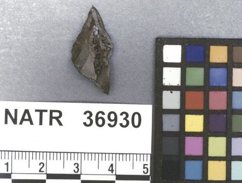 NATR   36930 -- Untyped projectile point