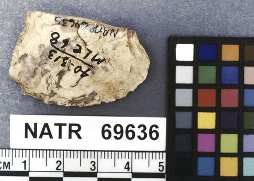 NATR   69636 -- Untyped projectile point