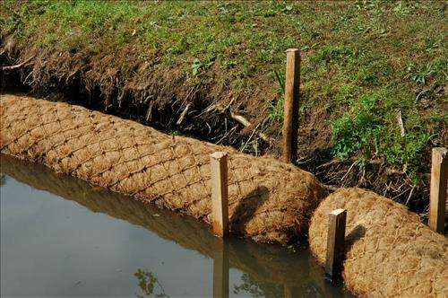 Restore Historic Dikes and Ponds at Kenilworth Aquatic Gardens in June 2010