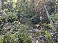 A stream is barely visible beneath downed trees. In the mid-distance a section of pedestrian bridge is lying at an angle on the bank of the stream.