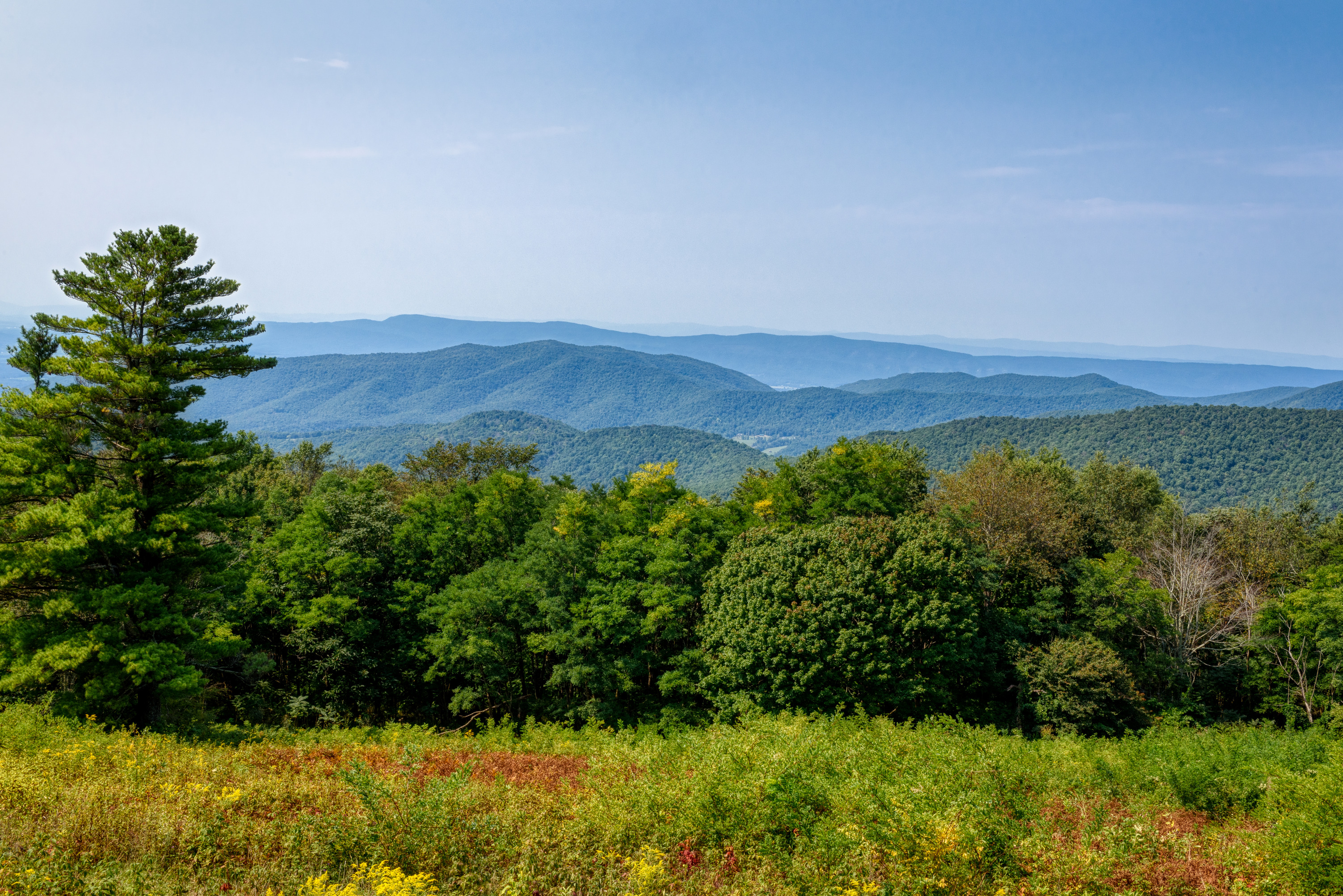 Hazel Top Ridge overlooking blue mountains with some fall color. 