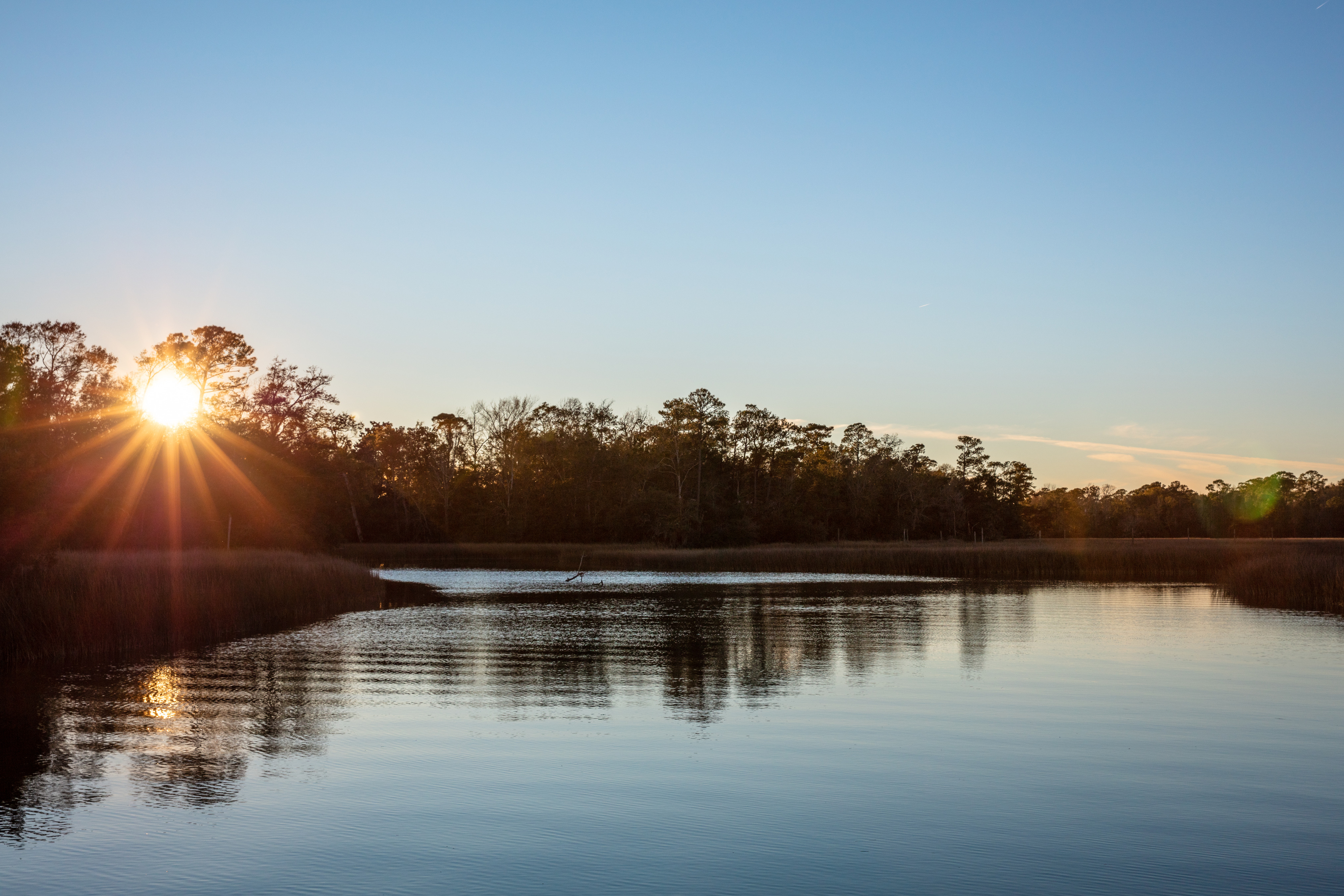 Sun rays beam through the trees as it sets over the bayou.