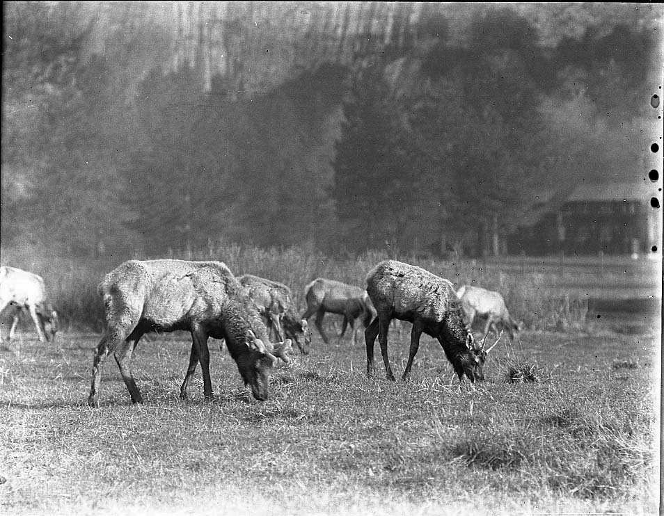 Yosemite National Park