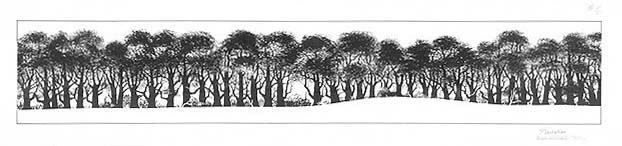 Ecological transect of Plantation Trail