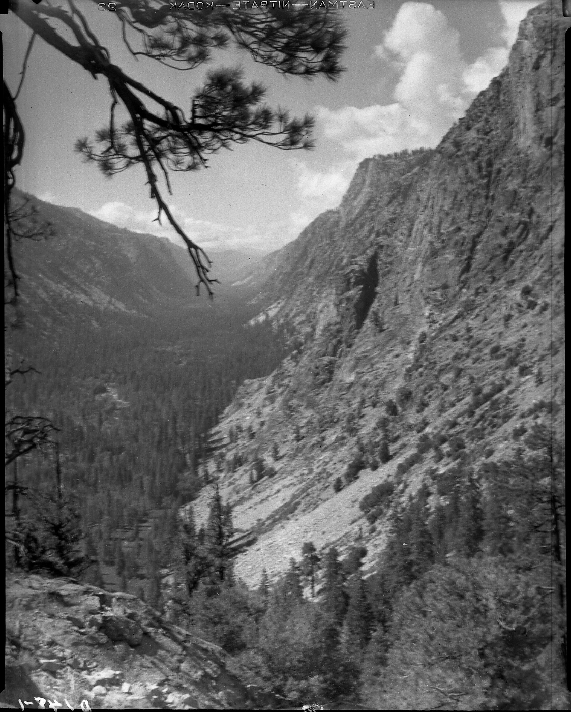 Sequoia National Park