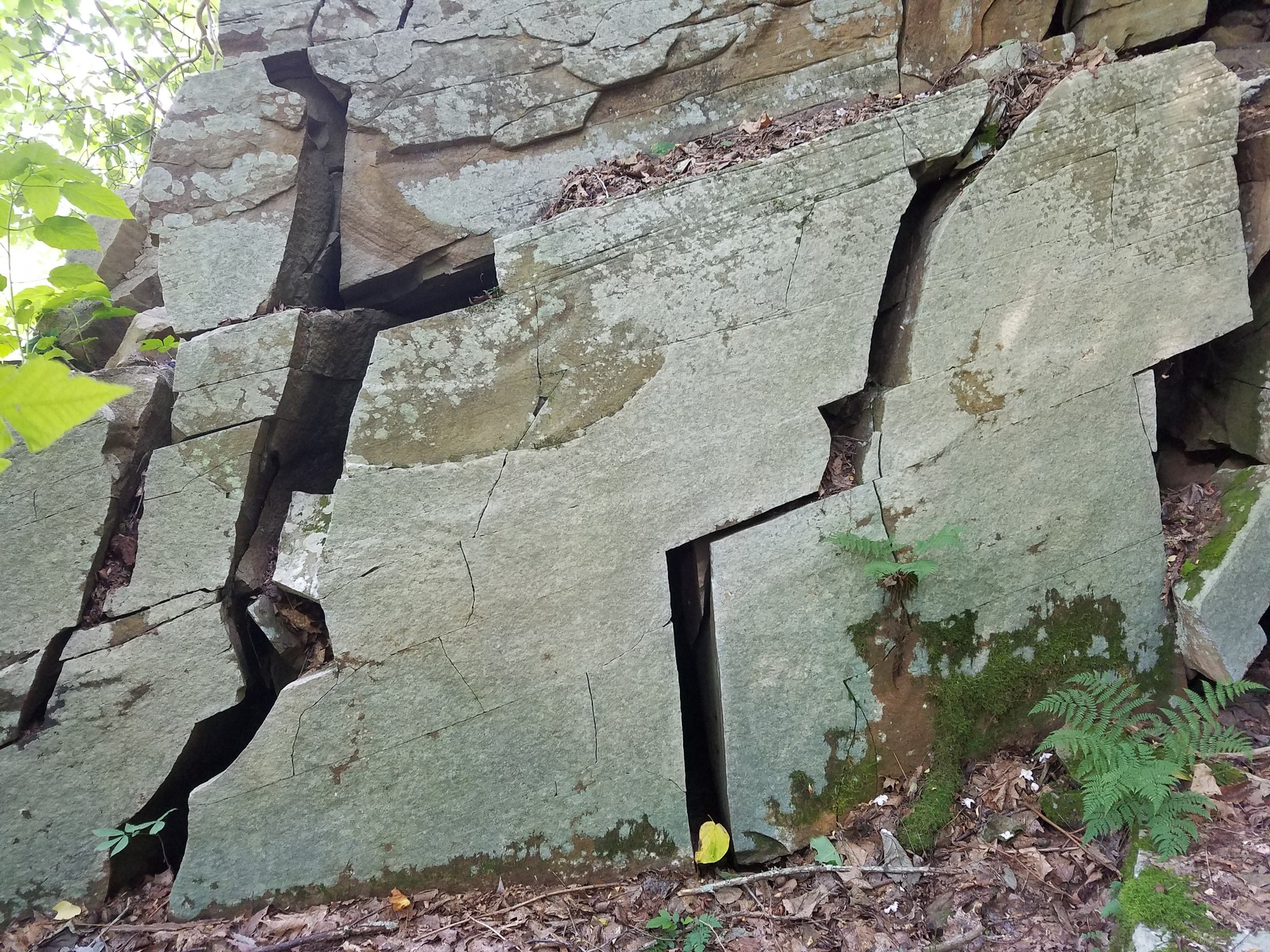fractured rock outcrop