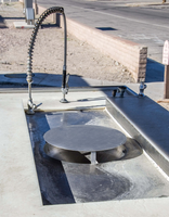 Fish cleaning nozzle and sink
