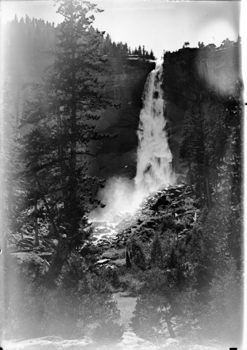 Copy negative - Western Museum Laboratories.