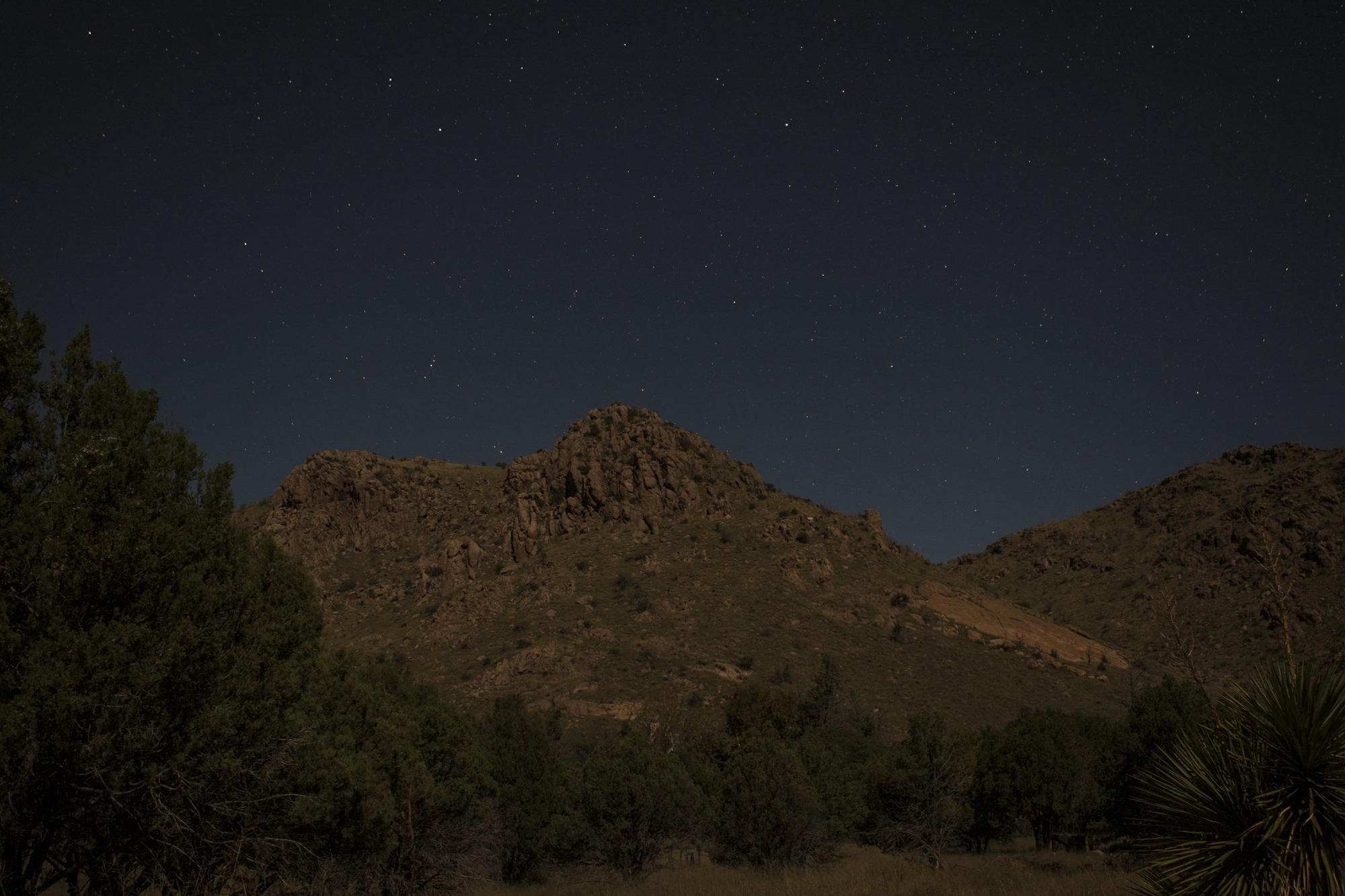Starry sky with rocky cliffs with trees and grasslands in the foreground. 