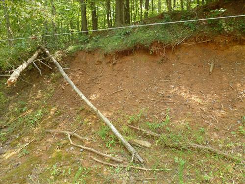 Clean and Restore Lead Contaminated Soil at Firing Range in August 2013