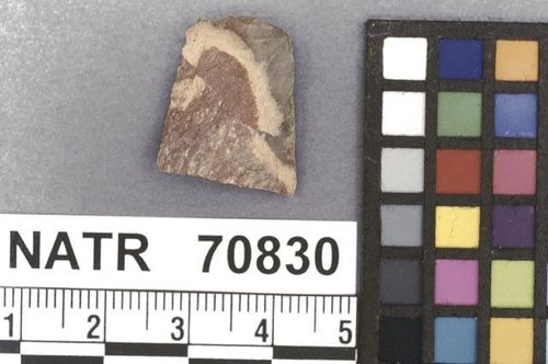 NATR   70830 -- Untyped projectile point