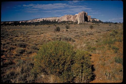 El Morro National Monument, New Mexico