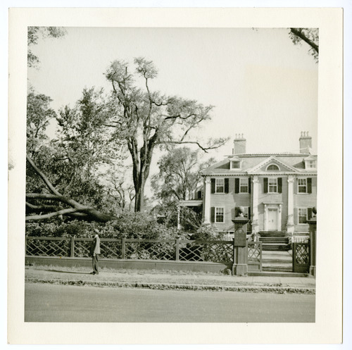 Tree blown over in front of Georgian mansion. Black and white photo.