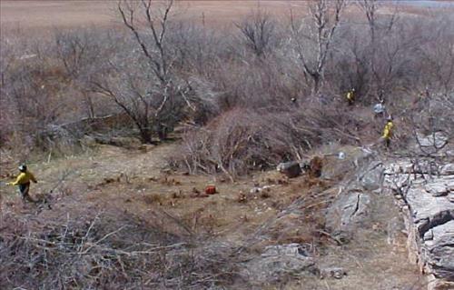 Salt Cedar Eradication Program Succeeding at Lake Meredith National Recreation Area, Texas