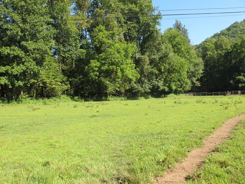 GRSM Accuracy Assessment. Plot Code: GRSM_AA_0837_2