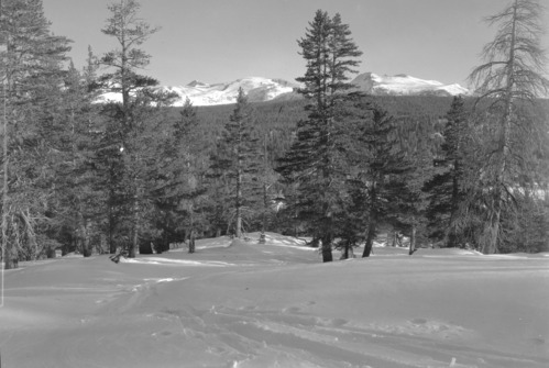 Snowcovered mountains from the Rafferty Creek Trail