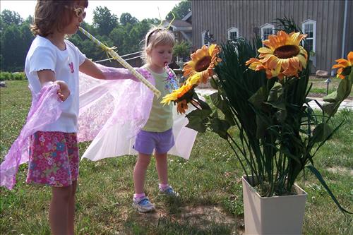 Junior Ranger, Butterfly's Breakfast, Activities