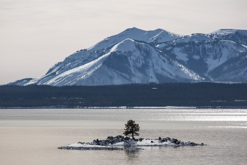 A small island with one tree in a large lake with a high mountain in the background