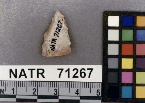 NATR   71267 -- Untyped projectile point