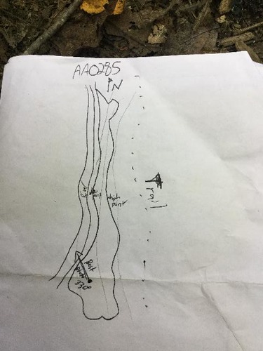 GRSM Accuracy Assessment. Plot Code: GRSM_AA_0285_map