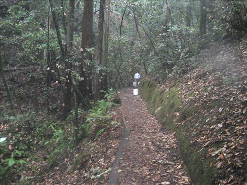 Rec Fee Project: Rehabilitate Notch, Muir Beach Overlook, & Hillside Trails